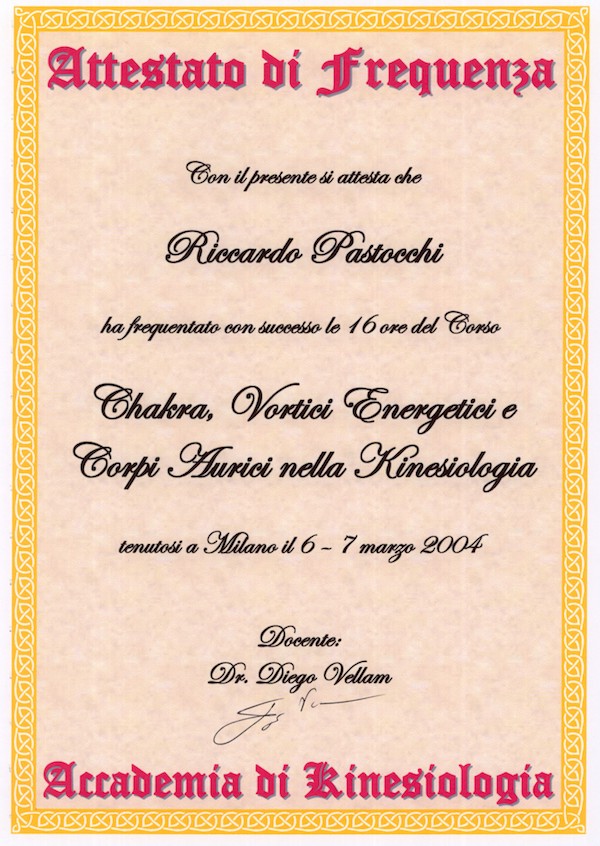 2004-chakra-e-kines