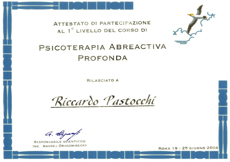 2004-pap