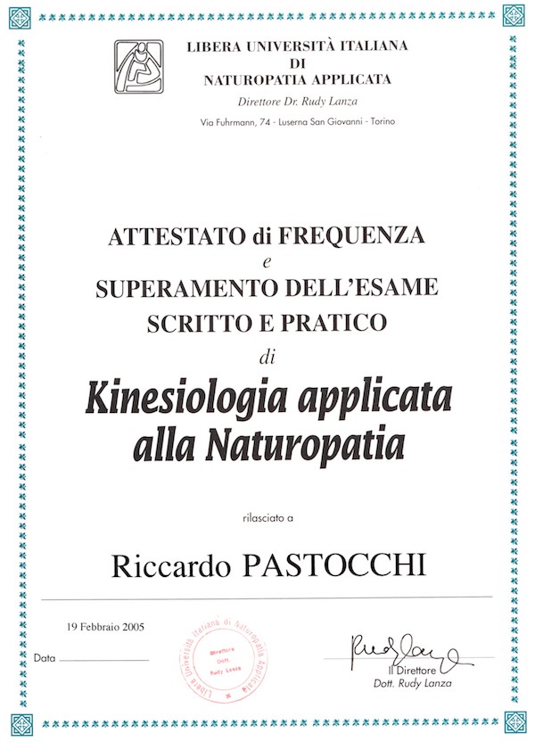 2005-kines